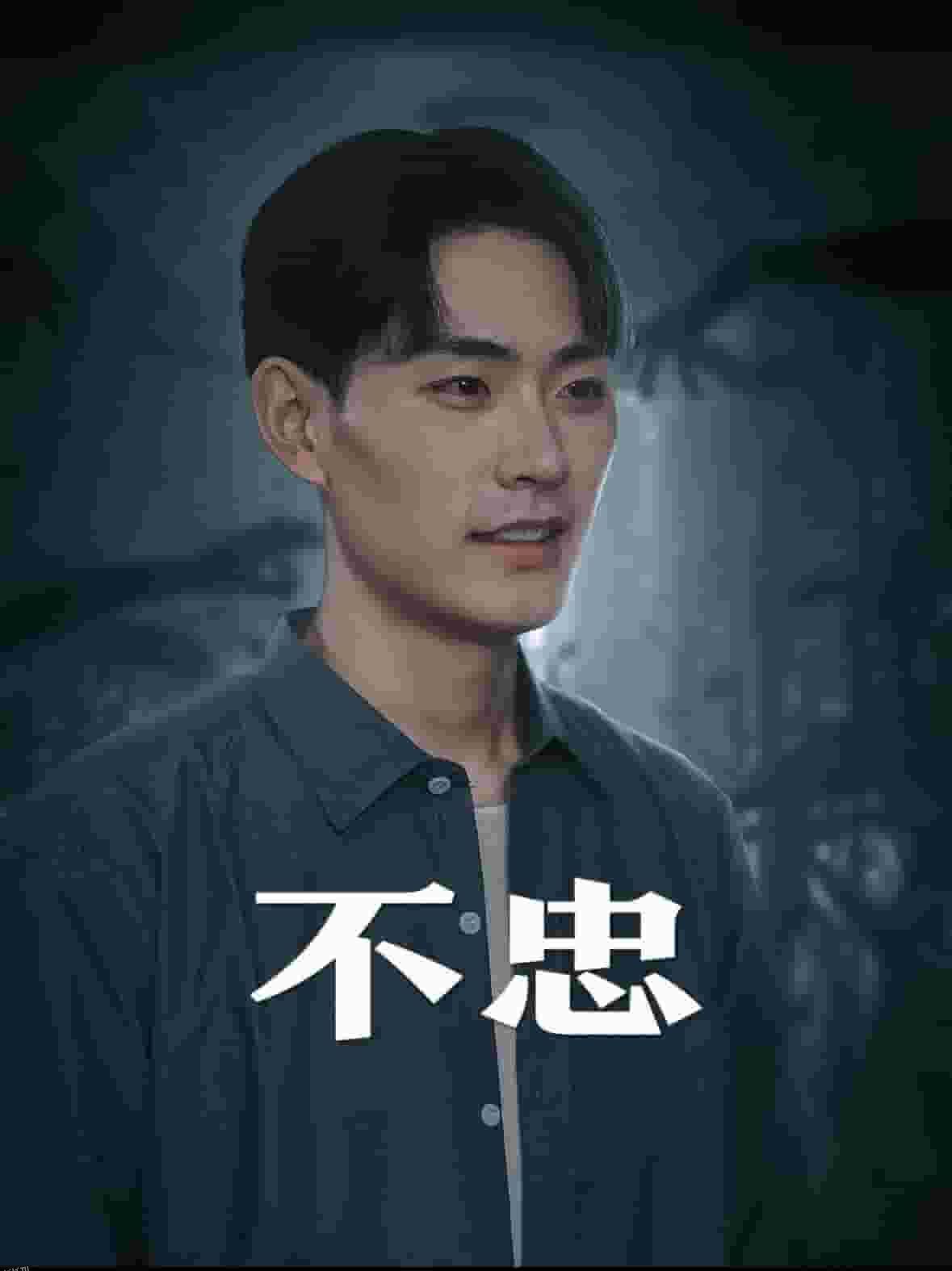 我本将心向明月 海报