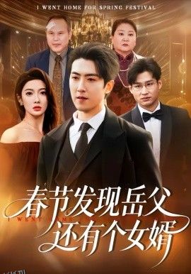 春节发现岳父还有个女婿 高清海报