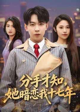 分手才知，她暗恋我十七年 海报