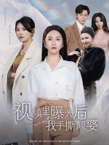 视频里曝光后我手撕颠婆 高清海报