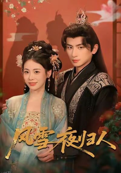 风雪夜归人 海报