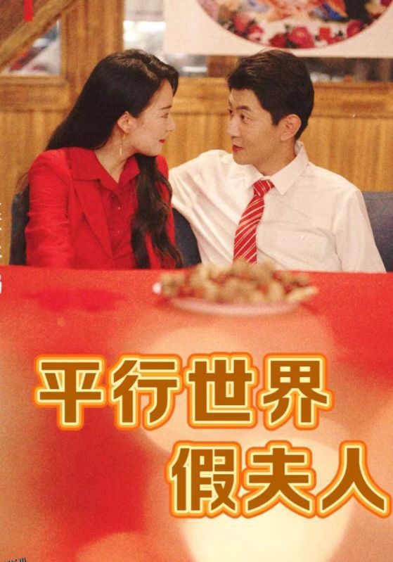 平行世界假夫人 海报