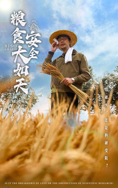 粮食安全大如天 海报