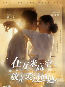 在万米高空放弃爱过的他 海报