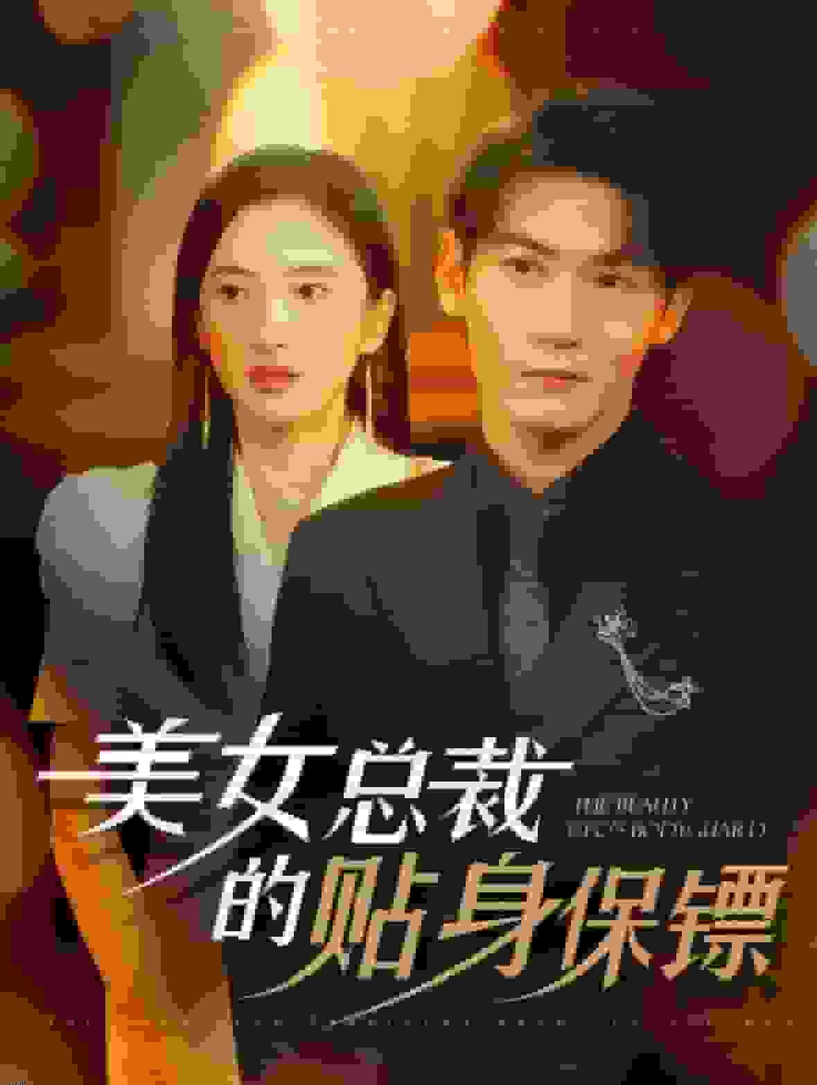 美女总裁的贴身保镖 海报