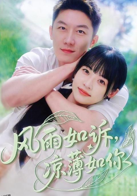 风雨如诉凉薄如你 海报