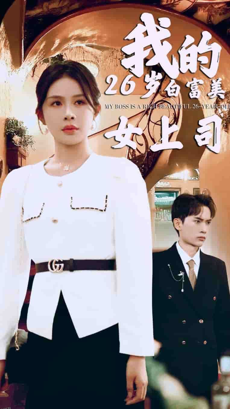 我的二十六岁白富美女上司 海报