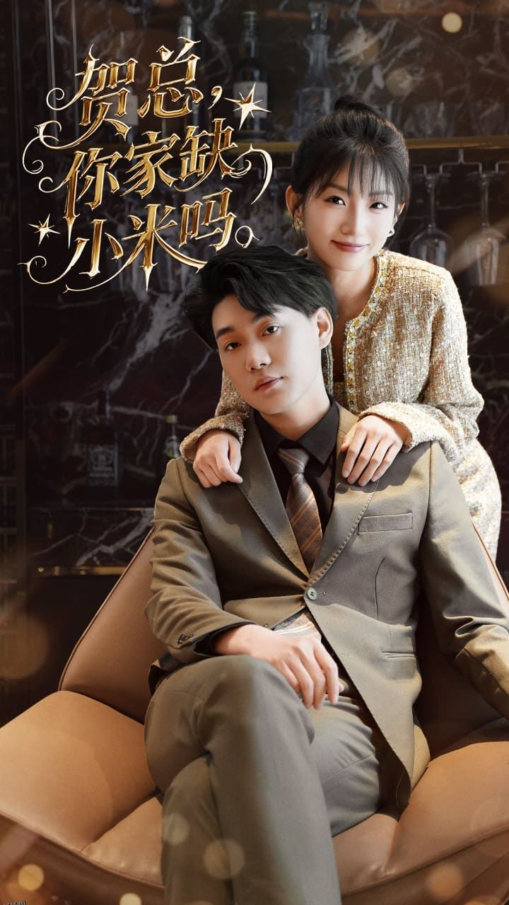 贺总你家缺小米吗 海报