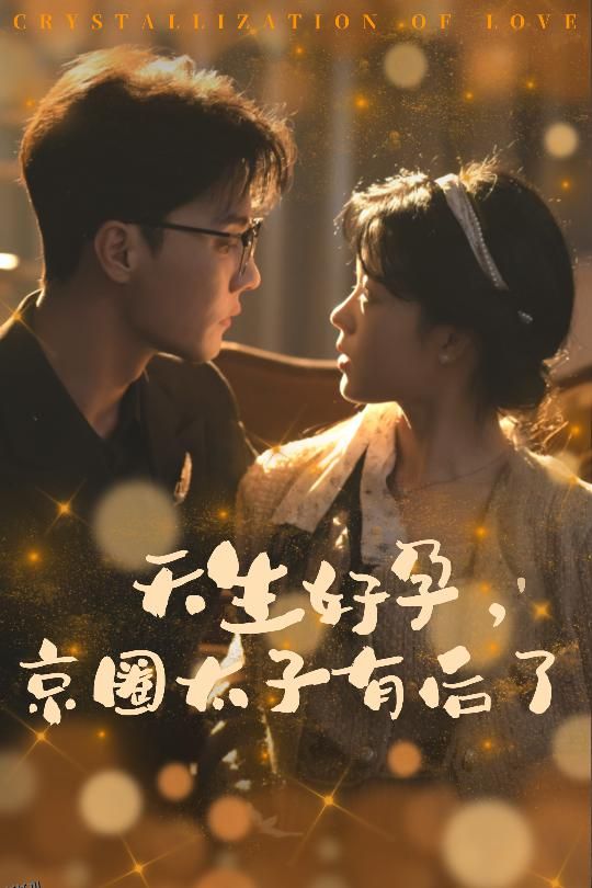 天生好孕京圈太子有后了 高清海报