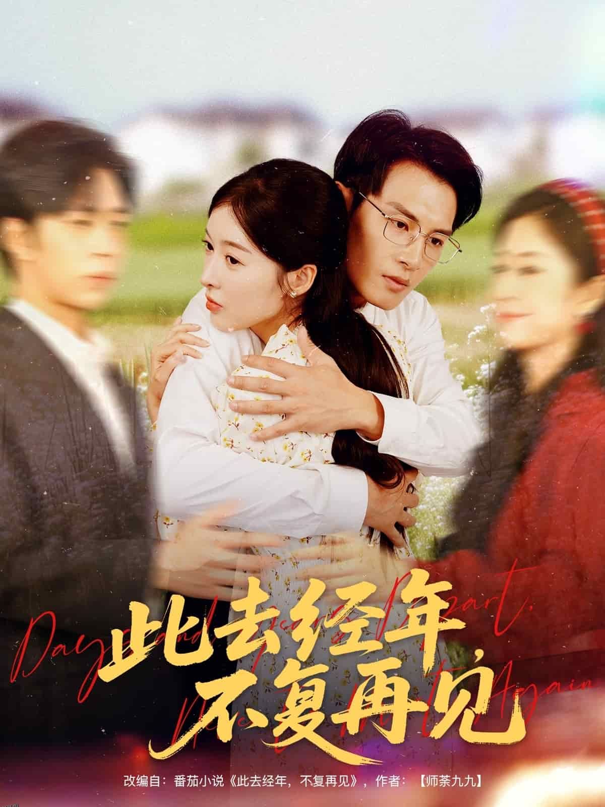 此去经年不复再见 海报