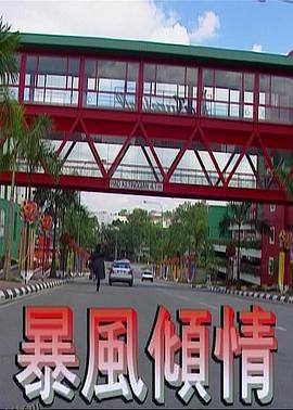 暴风倾情 高清海报