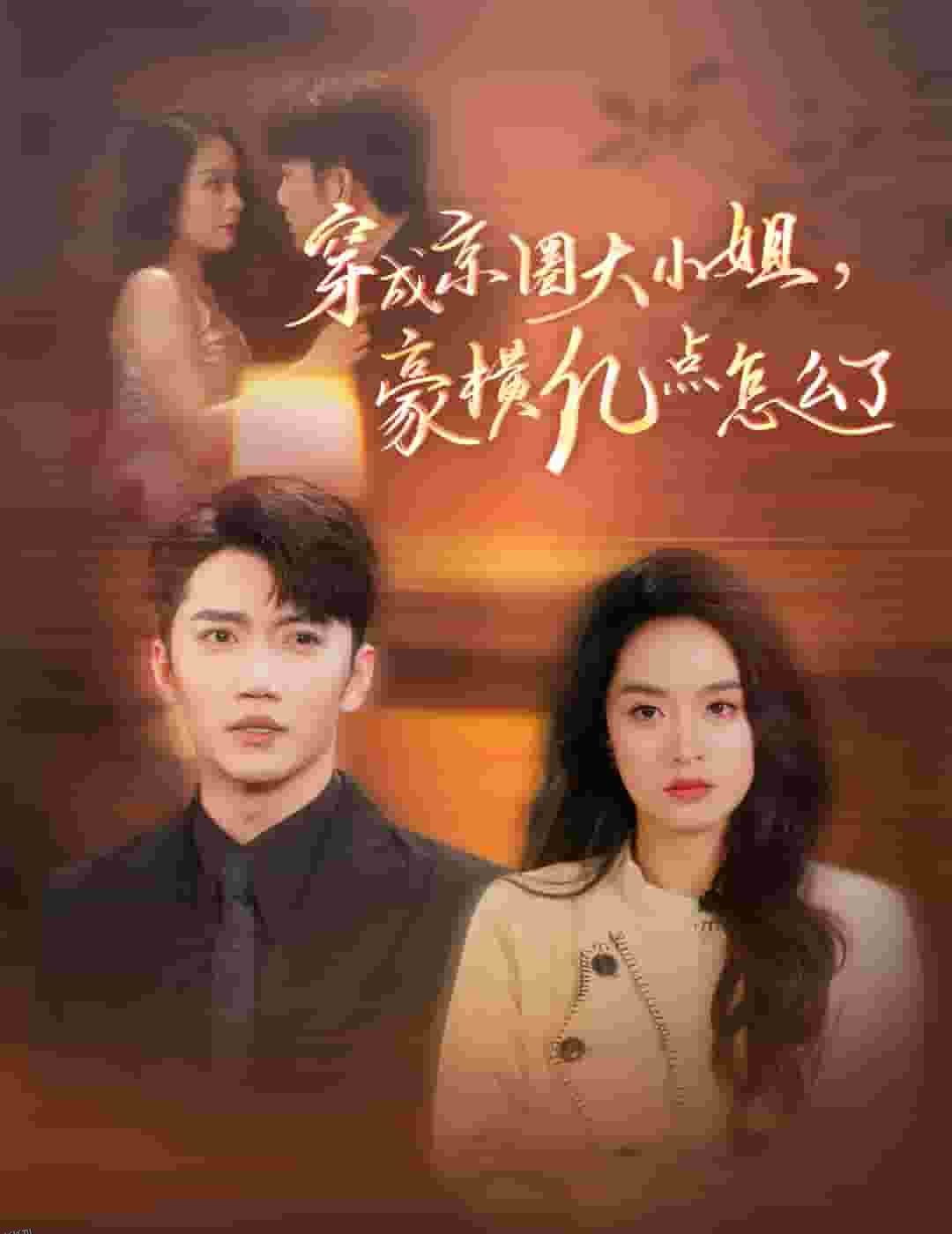 穿成京圈大小姐豪横亿点怎么了 海报