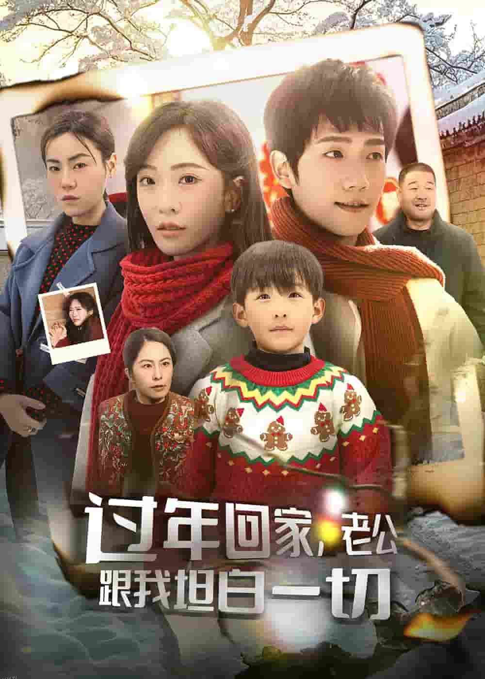 过年回家，老公跟我坦白一切 海报