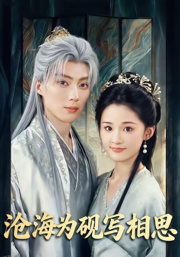 沧海为砚写相思 海报