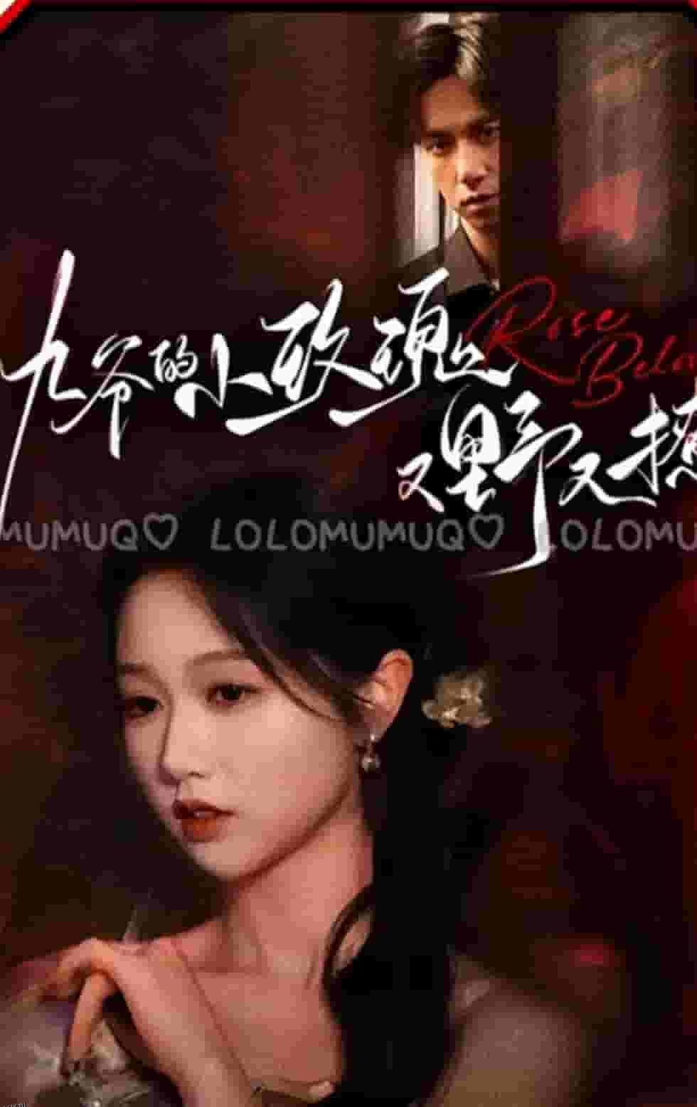 九爷的小玫瑰又野又撩 海报