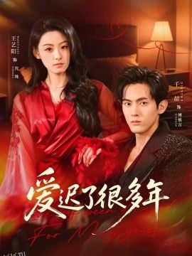 爱迟了很多年 海报