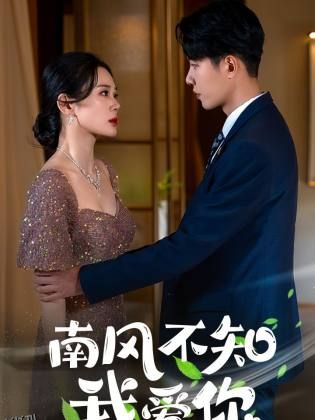 南风不知我爱你 海报