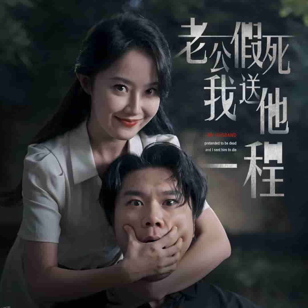 老公假死我送他一程 海报