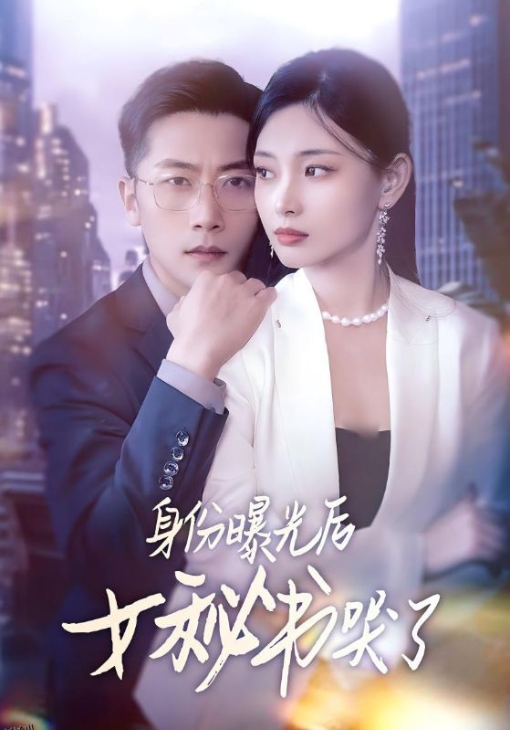 身份曝光后女秘书哭了 海报