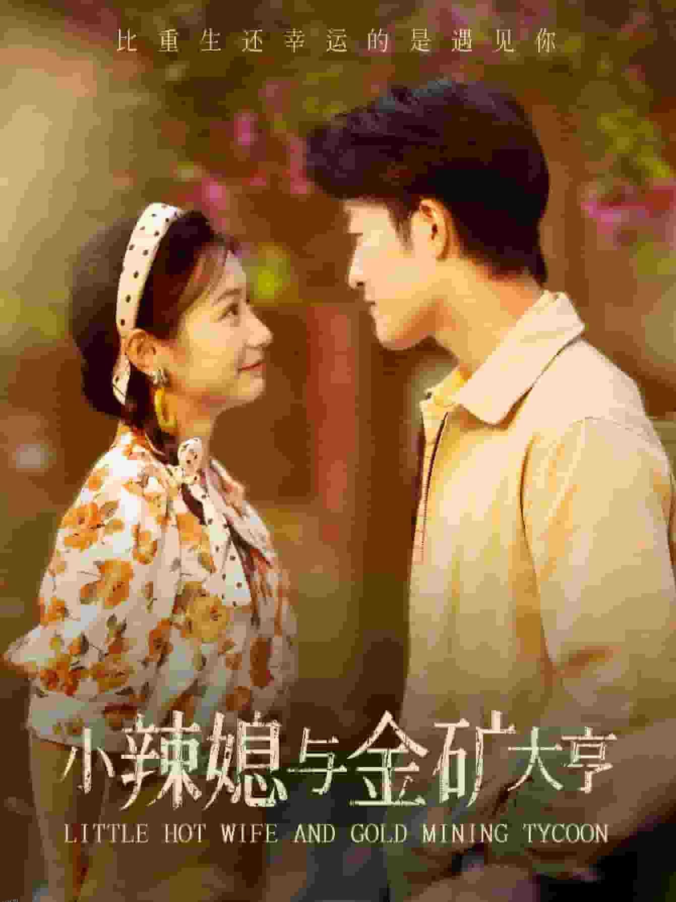 小辣媳与金矿大亨 海报