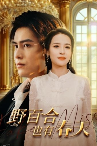 野百合也有春天 短剧版 海报