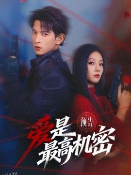 爱是最高机密 海报