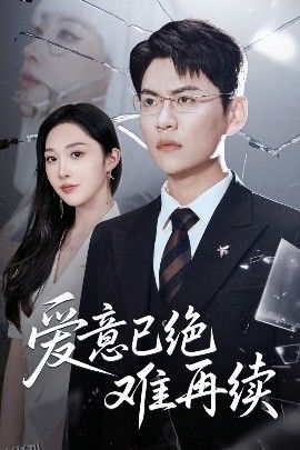 爱意已绝难再续 海报