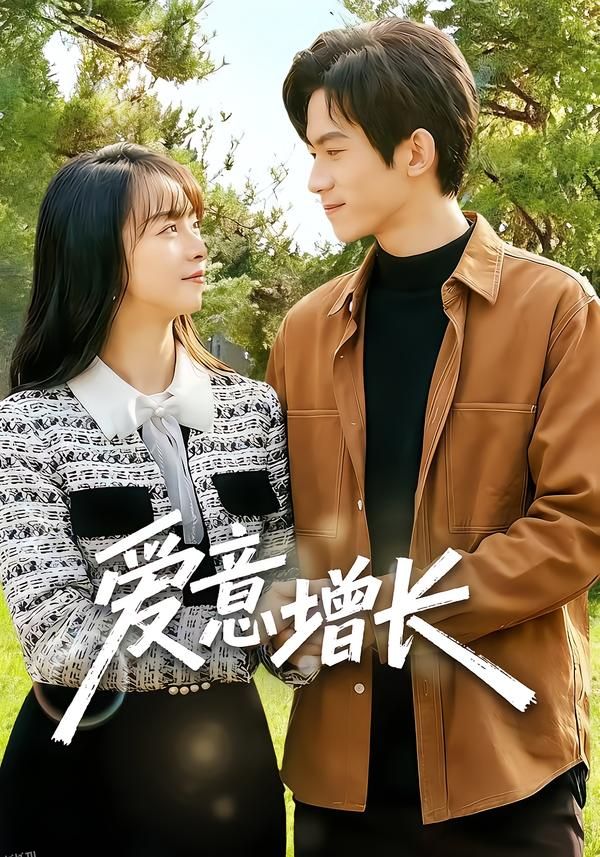 爱意增长 海报