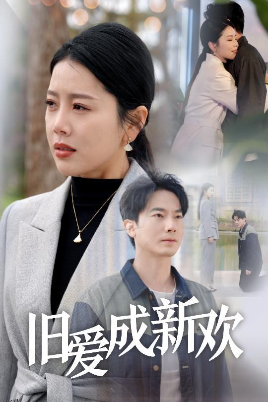 旧爱成新欢 海报