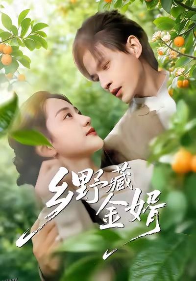 乡野藏金婿 海报