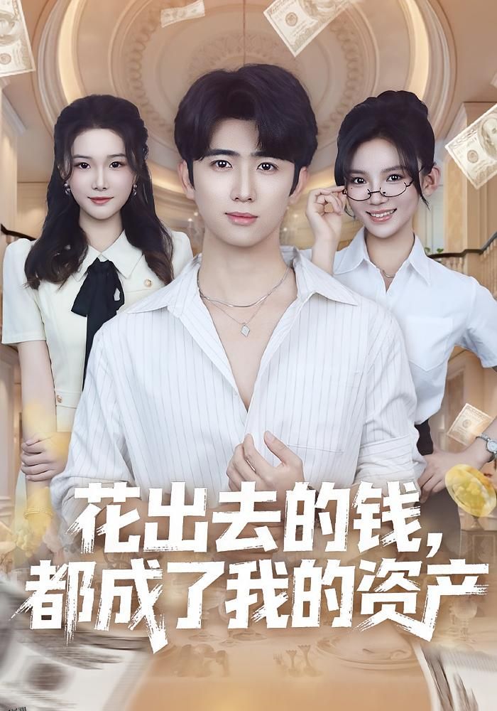 花出去的钱都成了我的资产 海报