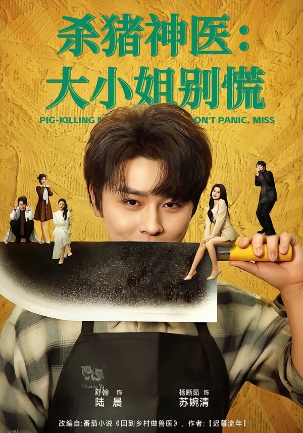 杀猪神医，大小姐别慌 海报