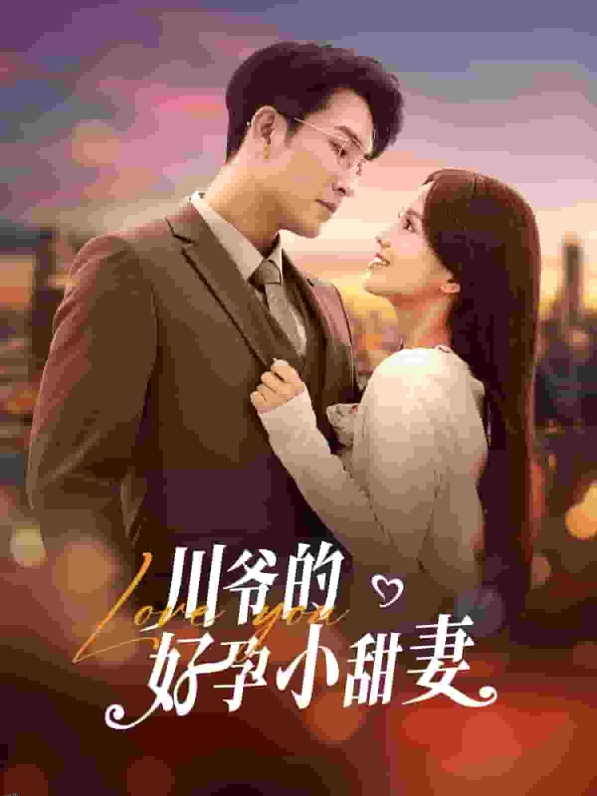 川爷的好孕小甜妻 海报