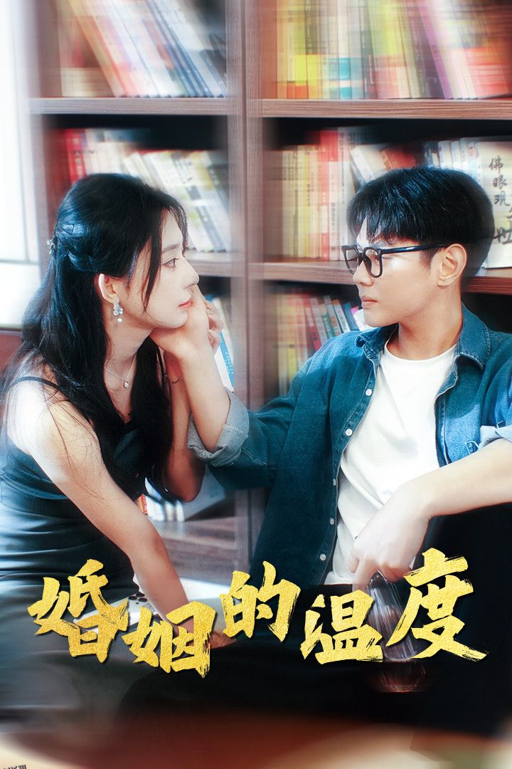 婚姻的温度 海报