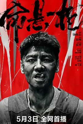 命悬一枪（炸裂川话版） 海报