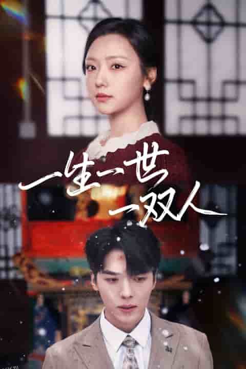 一生一世一双人 海报