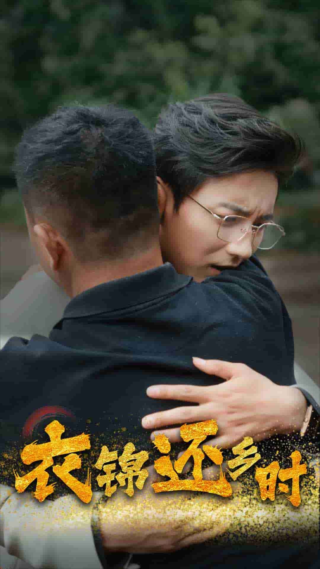 衣锦还乡时 海报