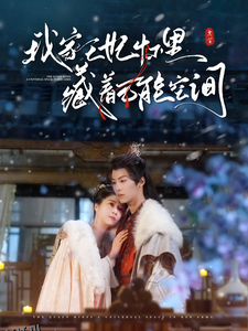 我家王妃怀里藏着万能空间 海报