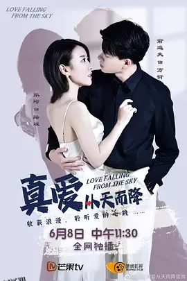 真爱从天而降第一季 海报