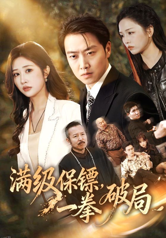 满级保镖一拳破局 海报