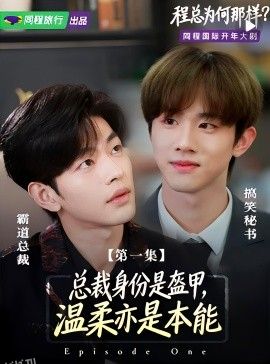 程总为何那样 海报