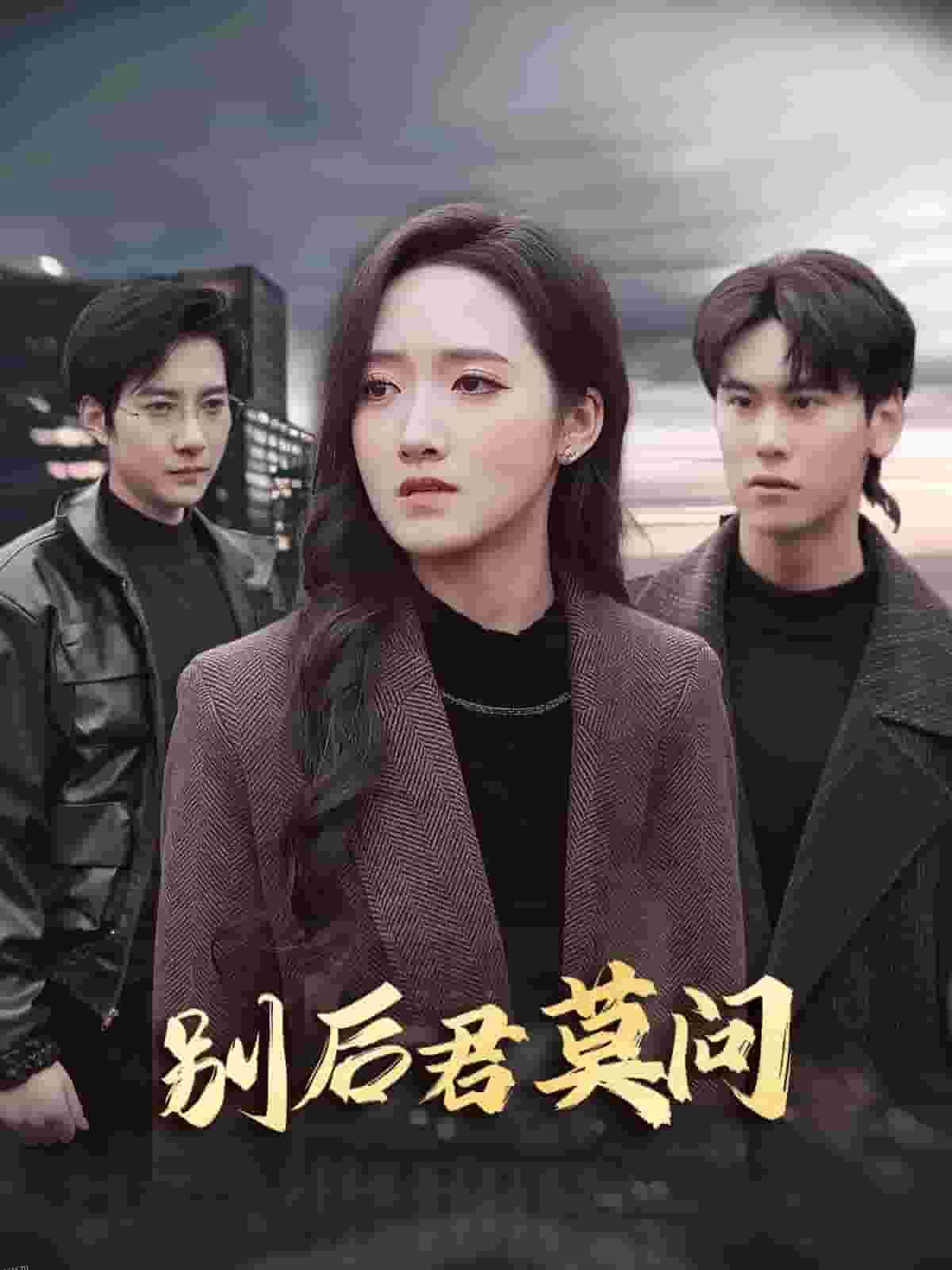 别后悠悠君莫问 海报