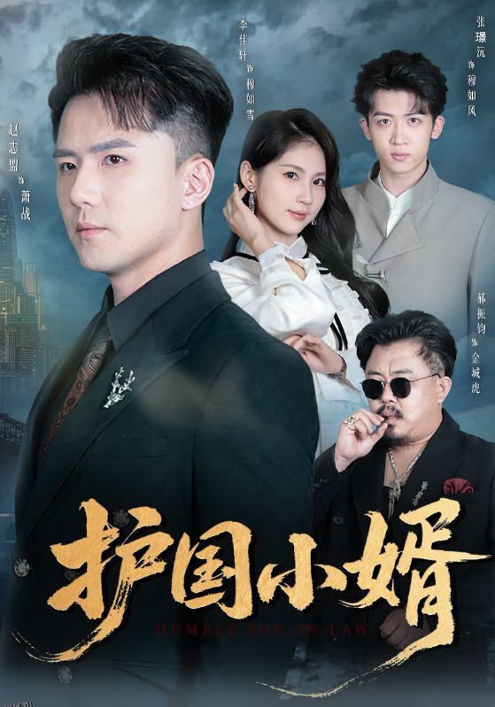 护国小婿 海报