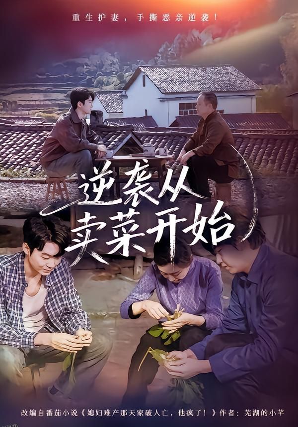 逆袭从卖菜开始 海报