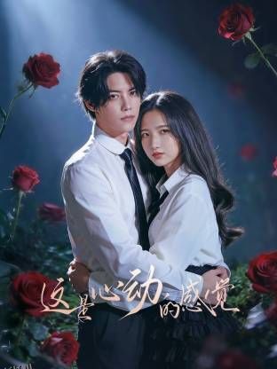 这是心动的感觉 海报