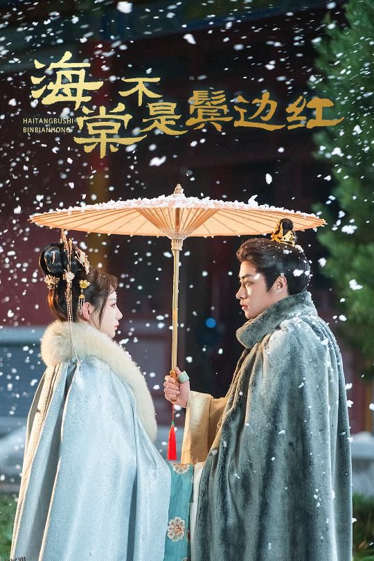 海棠不是鬓边红 高清海报