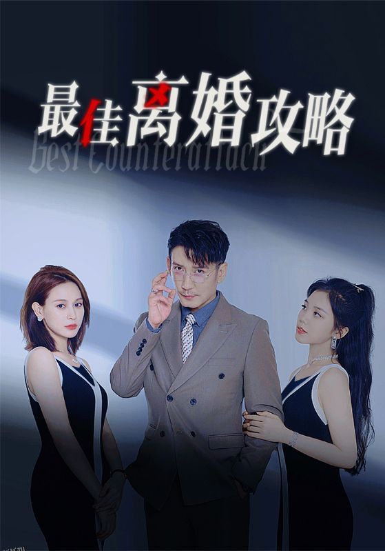 最佳离婚攻略 高清海报