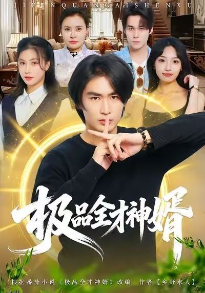 极品全才神婿 海报