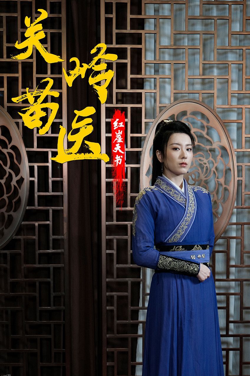 关岭苗医红崖天书 海报