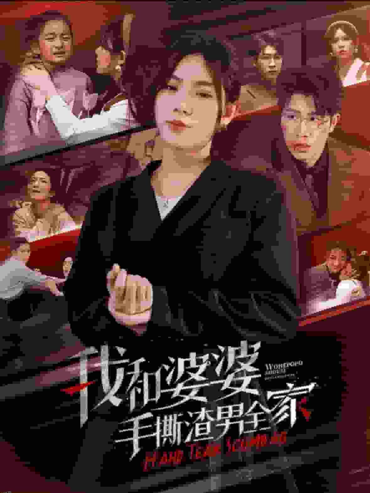 我和婆婆手撕渣男全家 高清海报